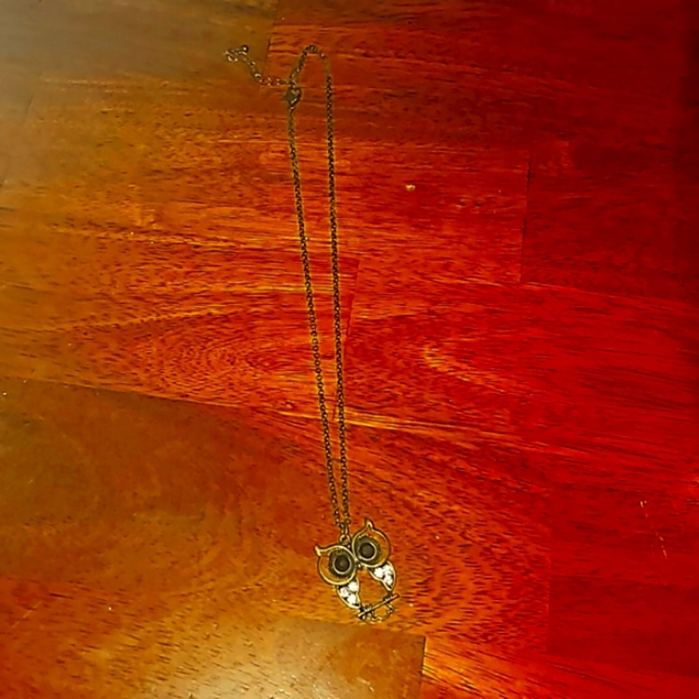 Pretty OWL necklace